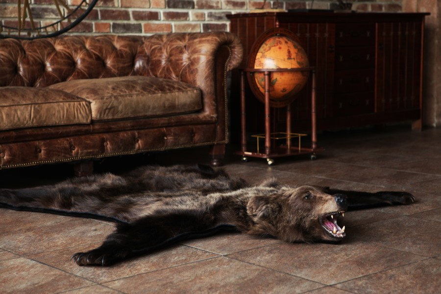 Шкура медведя на полу гостиной в стиле лофт