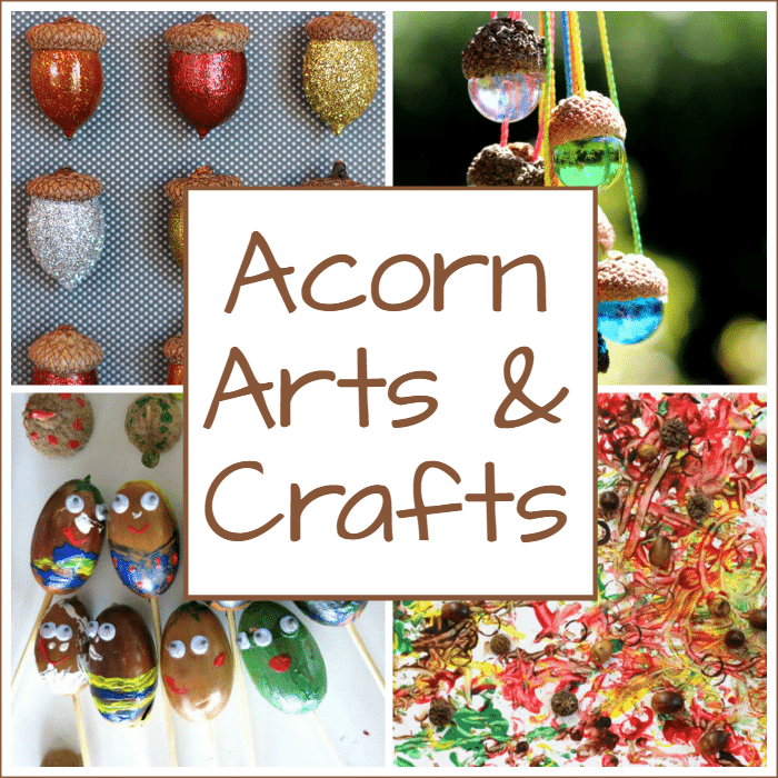 Acorn crafts, art, and learning activities
