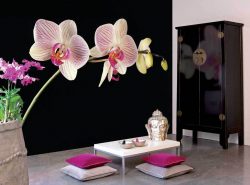 Обоями с орхидеями можно украсить интерьер любой комнаты
