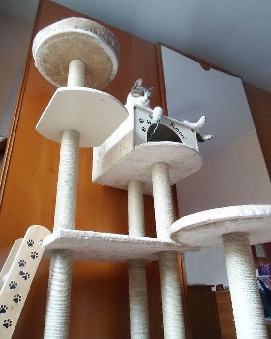 Домик - игровой комплекс для кошки своими руками