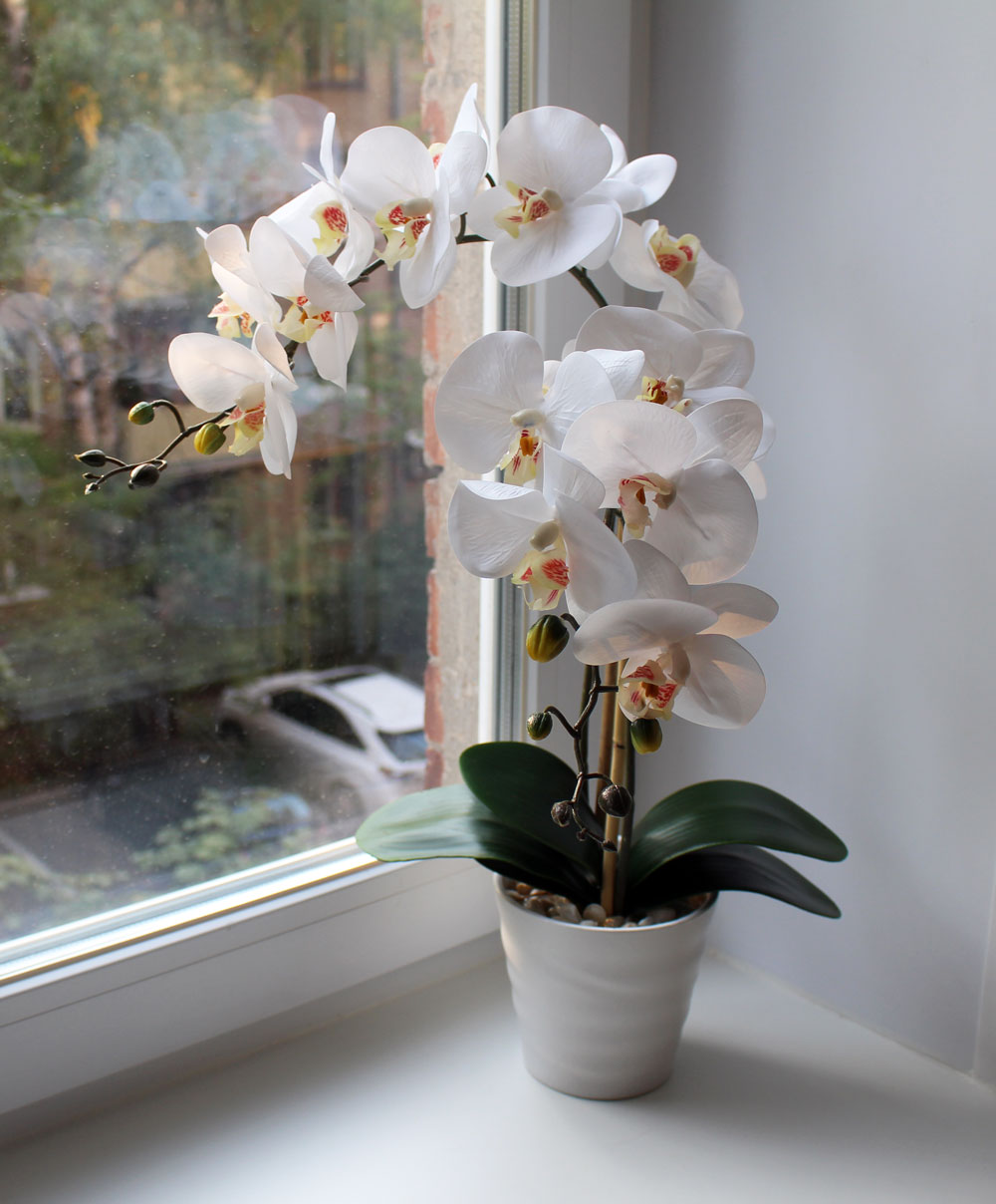 Искусственная орхидея на окне