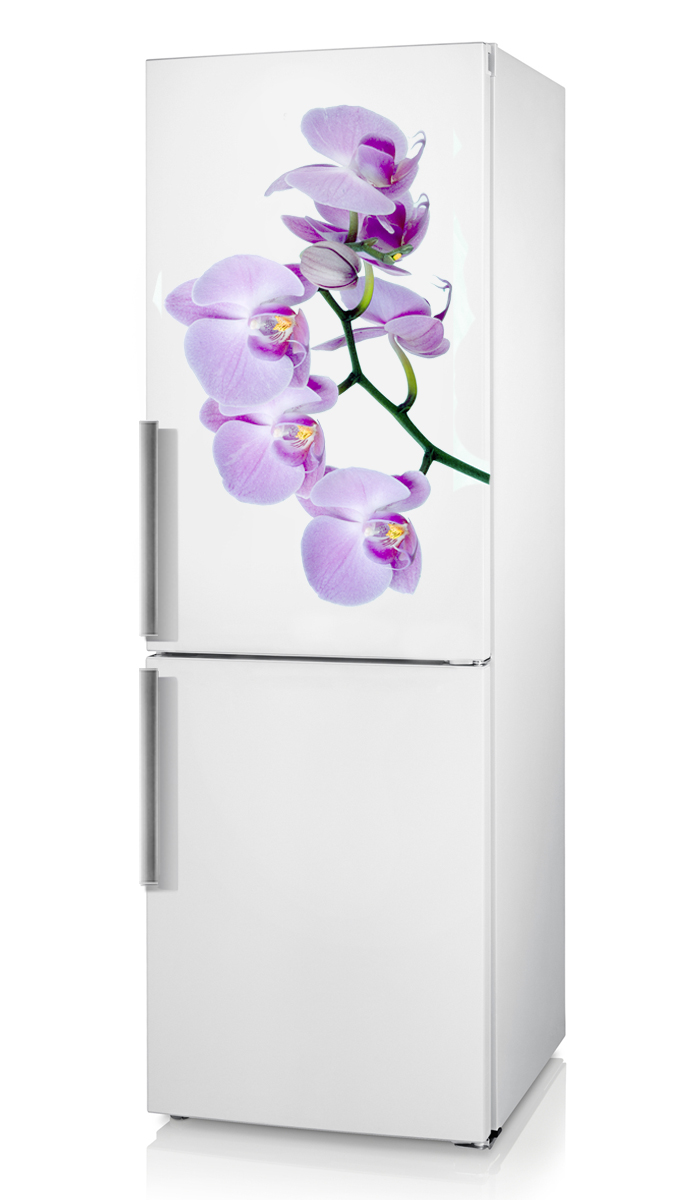 Холодильник с изображением орхидеи