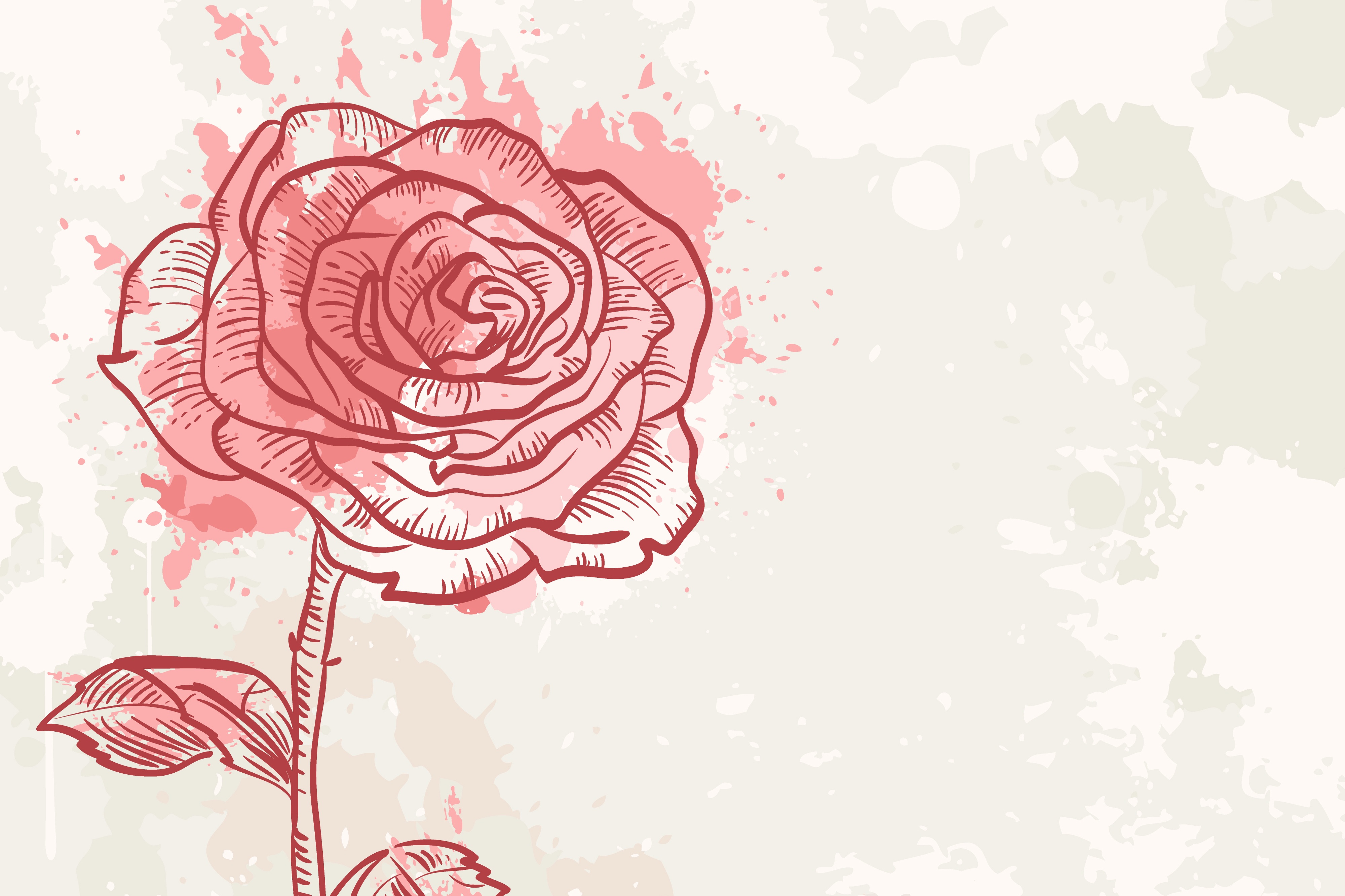 Розовый цветок нарисованный. Цветы на однотонном фоне. Розы фон. Фон с нарисованными цветами.