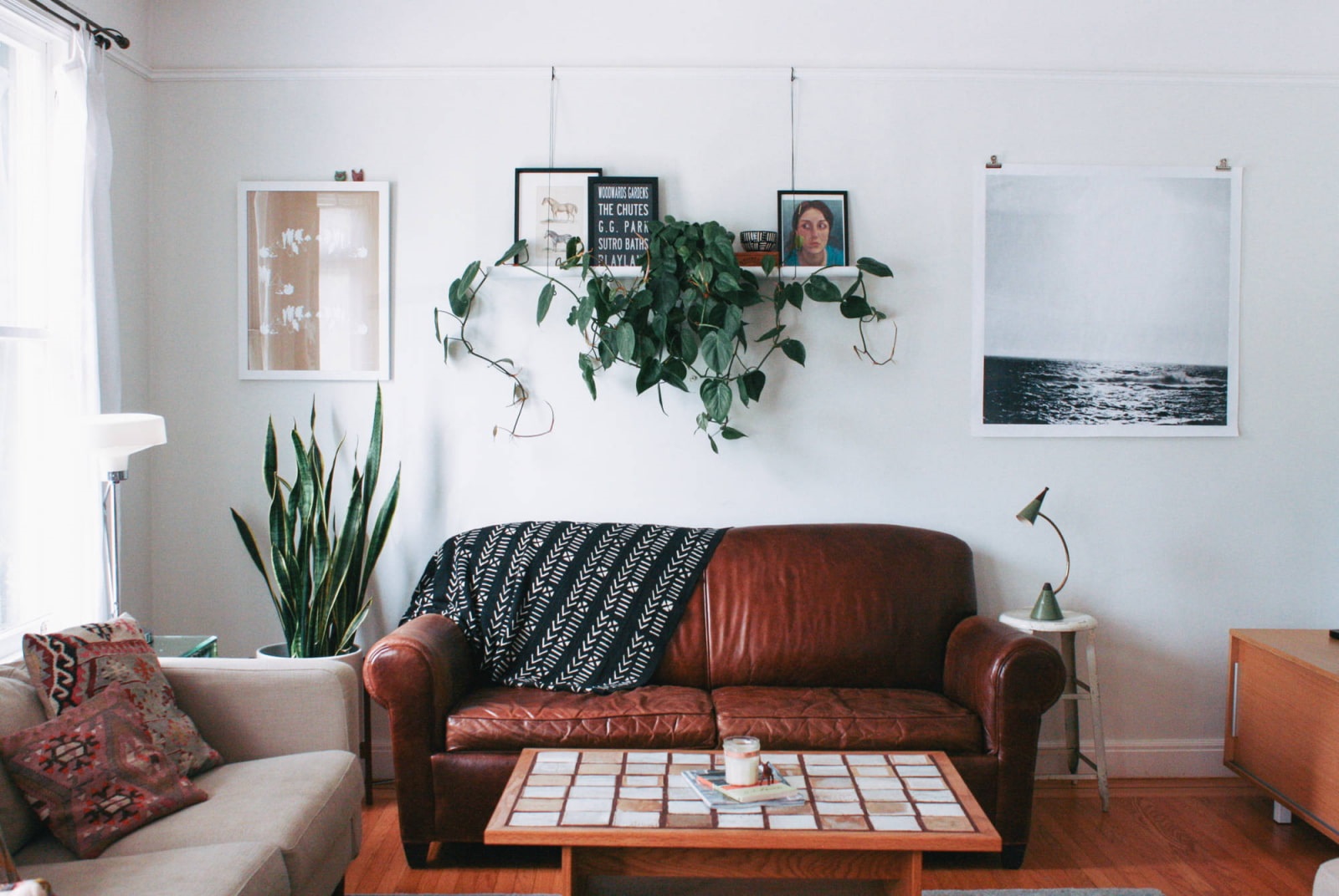 комнатные растения над диваном