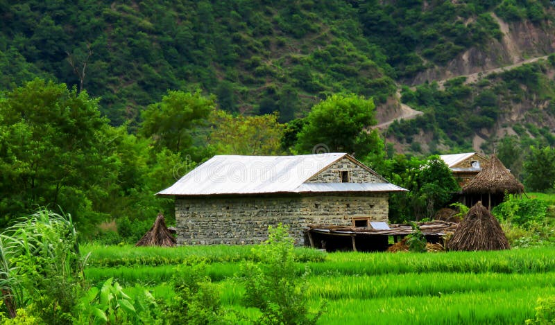 Beautiful Village House and the mountain Surrounded by Paddy Fields. In Nepal, old house in the mountains royalty free stock photography