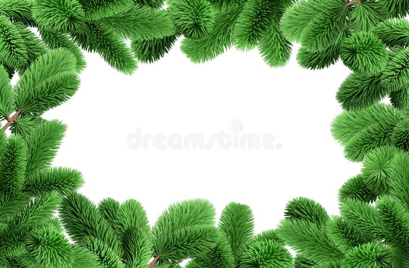 3d render, white background with spruce frame. Evergreen coniferous branches, Christmas fir tree twigs.  stock illustration