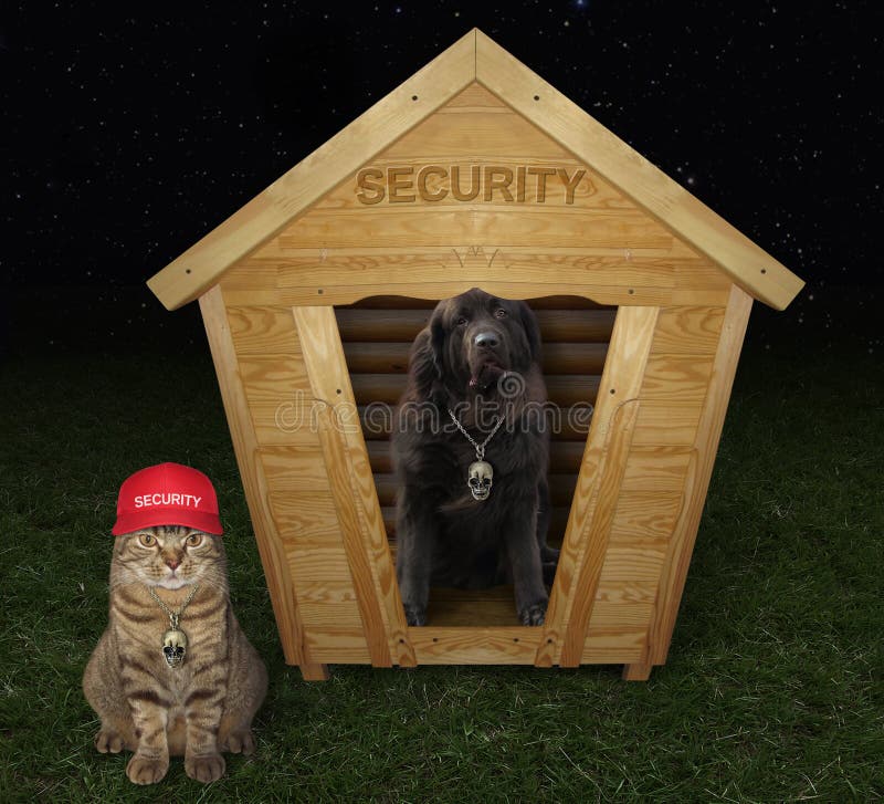 Dog with a cat in the security booth. The big black dog is in the wooden security booth. The cat in a red hat is next to it royalty free stock photography