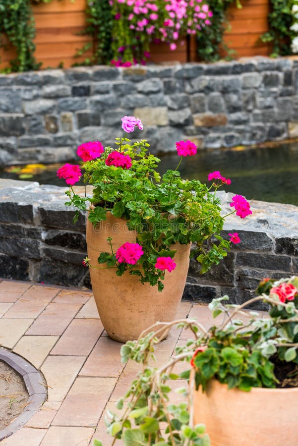 Flower pots in the design of the yard stock photo