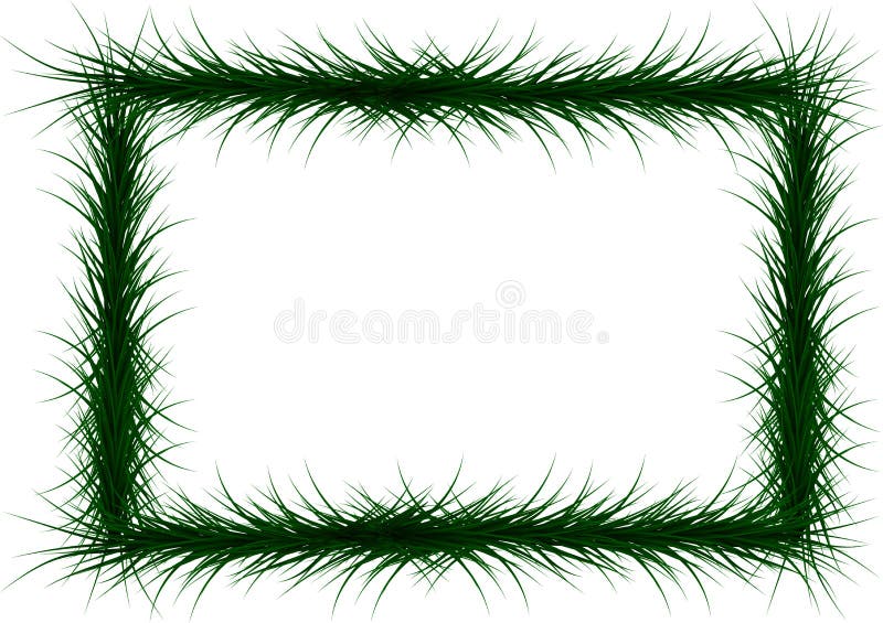 Frame of colorful coniferous branches. Vector Illustration. EPS10 vector illustration
