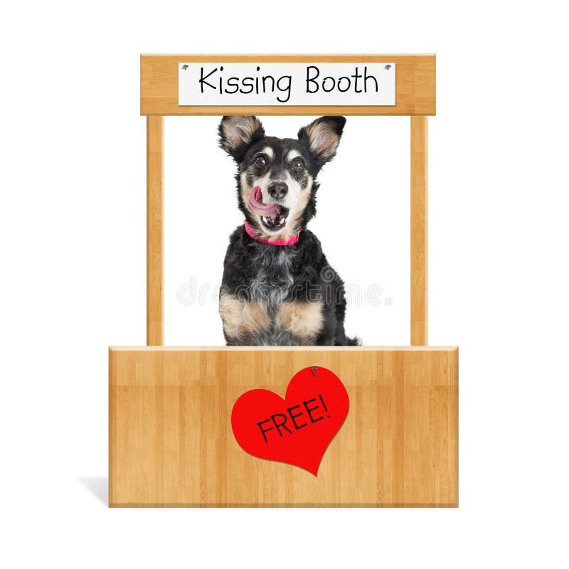 Funny Dog Kissing Booth. Funny photo of a cute mixed breed dog in a free kissing booth with tongue out stock image