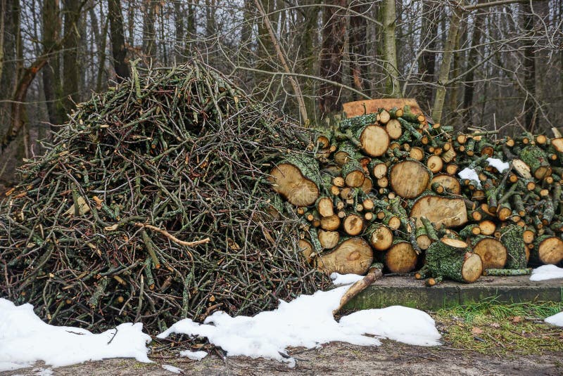 Heaps of brushwood and roundwood in the snow in the open air stock photos