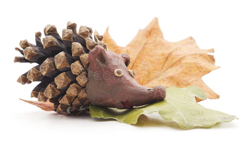 Hedgehog with cone. Hedgehog with cone on a white background royalty free stock photo