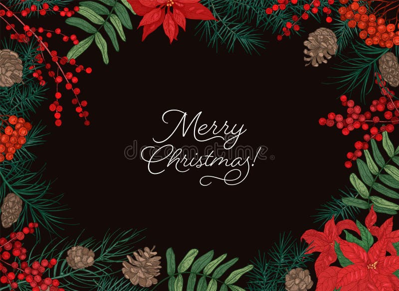 Horizontal frame or border made of branches and cones of coniferous trees, berries and poinsettia leaves hand drawn on. Black background and Merry Christmas vector illustration