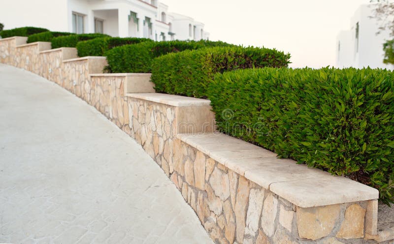 Landscape design. Nicely trimmed bushes at the front yard. Empty stock images