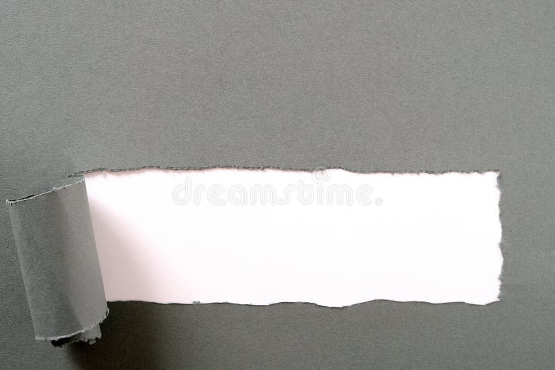 Torn gray paper strip white background curled bottom edge. Torn gray paper strip white background curled bottom stock image