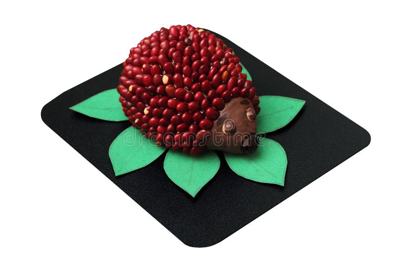 Toy hedgehog made from plasticine and beans isolated on white. Toy hedgehog made from plasticine and beans isolated royalty free stock images