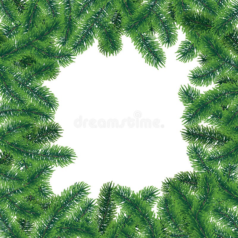 Vector winter frame poster with coniferous tree branches with needle leaves on white background.  royalty free illustration