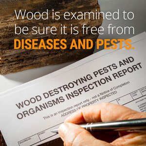 APHIS agents and specialists examine imported wood and timber