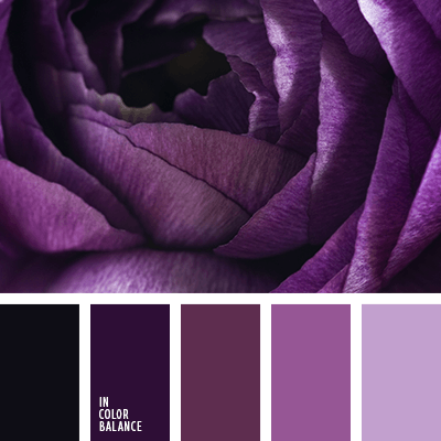 фиолетовая палитра цветов