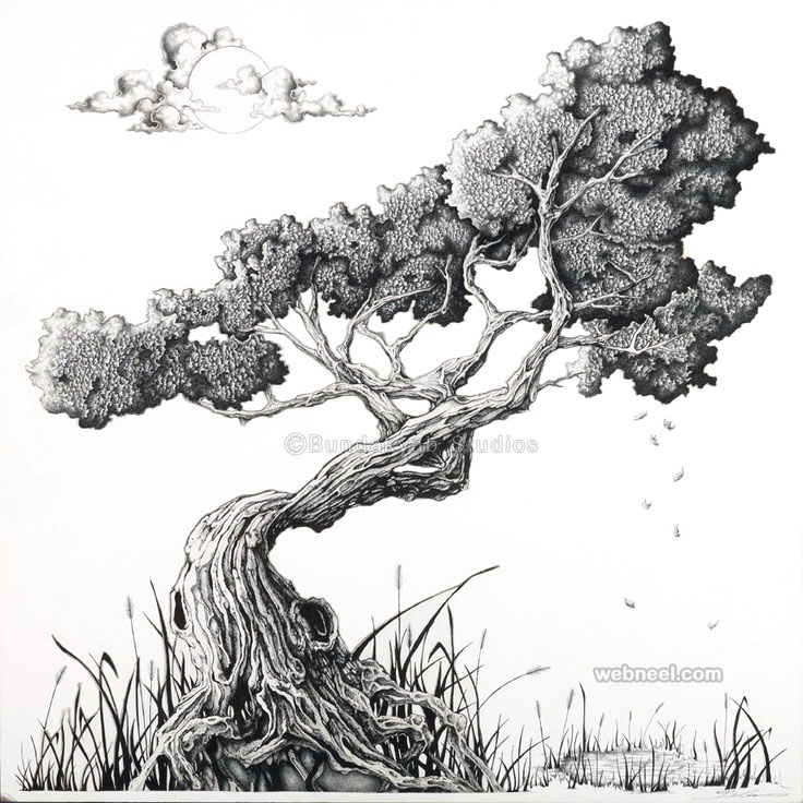 drawing tree