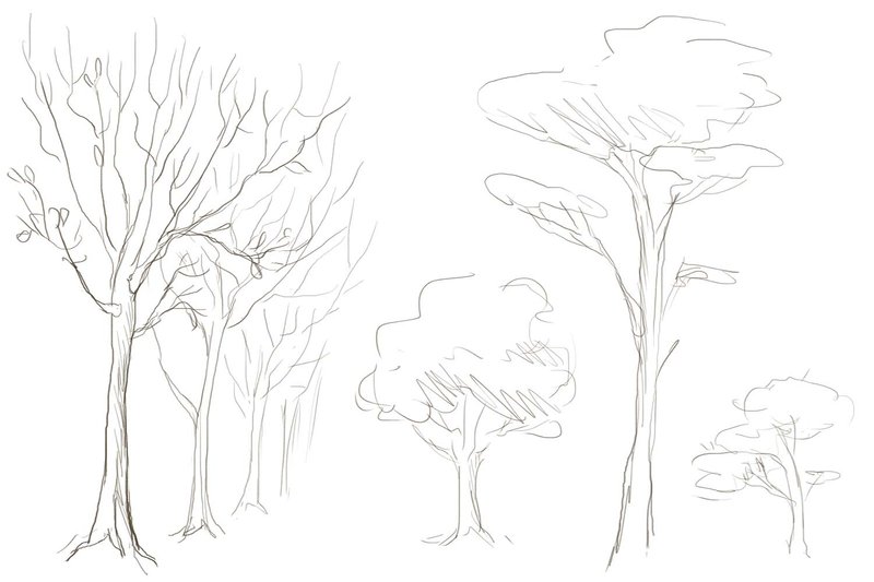 Рисунки деревьев карандашом
