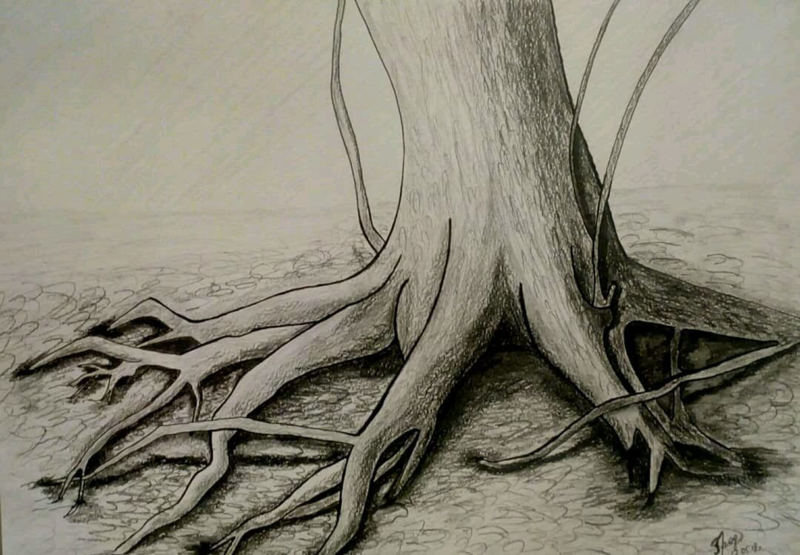 Рисунки деревьев карандашом