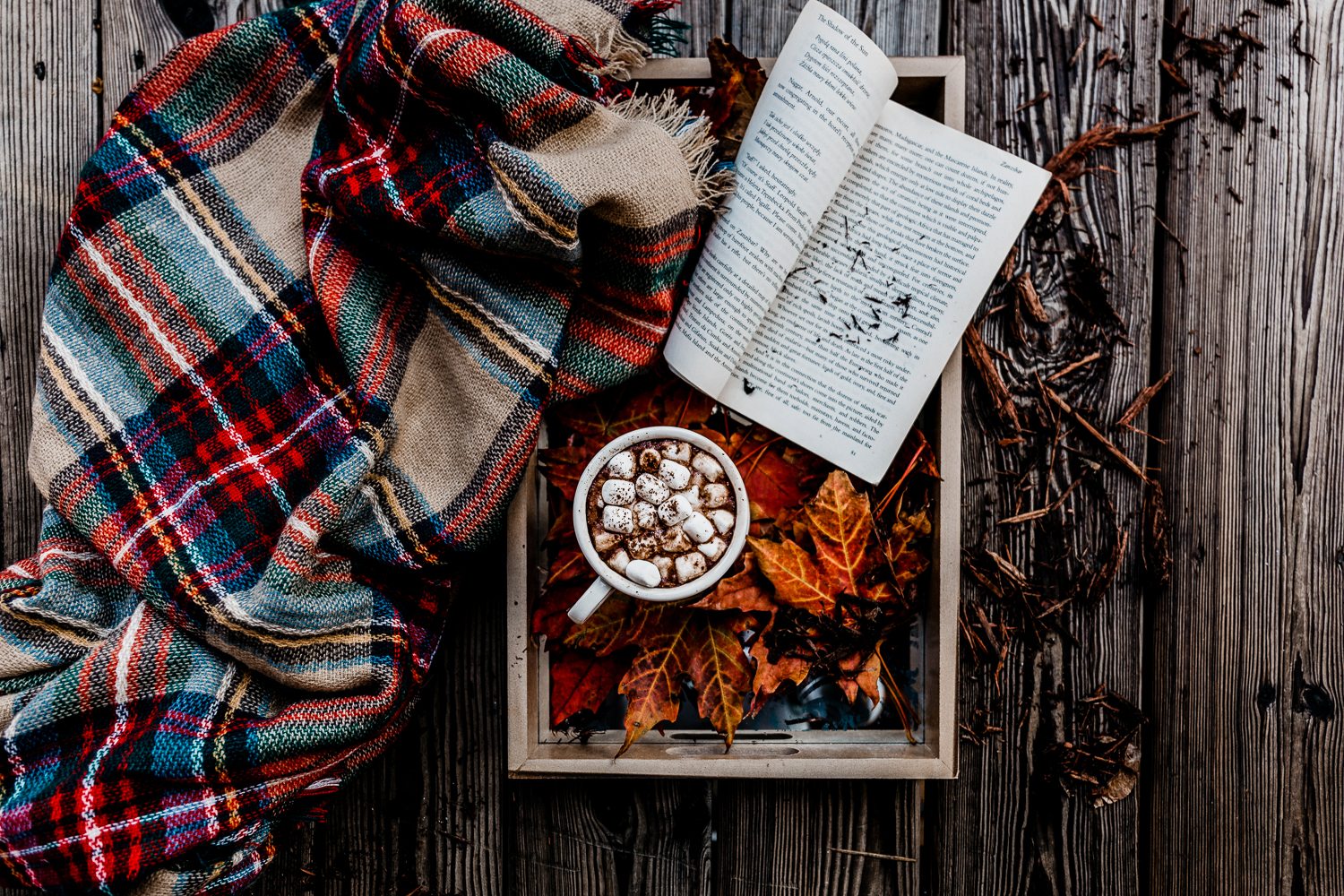Blanket, tray, hot chocolate, and an open book