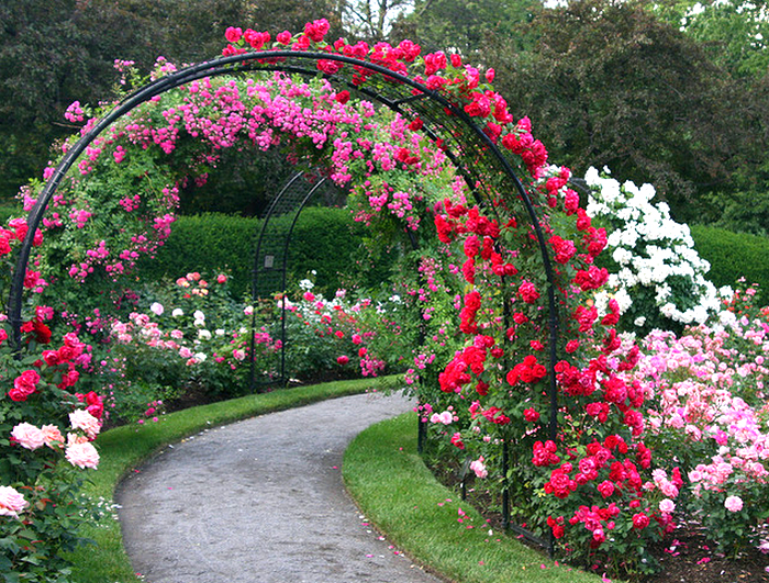 садовая арка